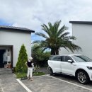 광이멀 103 이미지