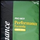 도그피아 이미지