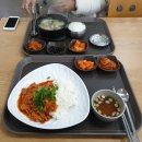 진안휴게소(장수) | 진안 마이산 휴게소(장수방향) 푸드코트 점심 흑돼지 제육덮밥