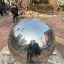 다원특삼겹 | 3월 첫째 주 일상털이 :: 주4일 출근 도입해주세여