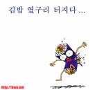 김밥옆구리 이미지