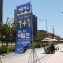 태극안경콘택트(세종대평점) | 세종안경 태극안경콘택트 세종대평점 선글라스 1+1 조하