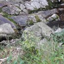 은혜행정사사무소 이미지