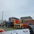 바이크애견 | 가평 레일파크/레일바이크 애견 동반 탑승 후기, 강아지 케이지는 필수! 예약 정보
