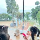 마시멜로키즈풀빌라 이미지