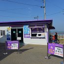 전라남도 신안군 안좌면 퍼플교 이미지