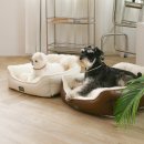 펫하우스애견 이미지