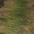 달래네 하우스 이미지