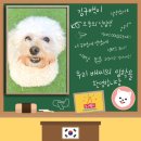 고운유치원 | 원주강아지유치원 배찌의 사회생활 한달 후기