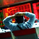 (주)블루칩스 이미지