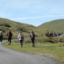 K행정사 이미지