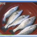 회진시장 이미지