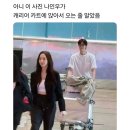 스테이블디 이미지