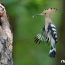 황성공원 이미지