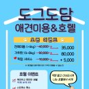 도그 애견미용실 이미지