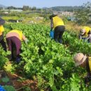 인창농장 이미지