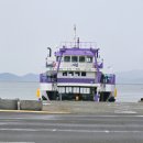 신안 김밥나라 앞 | 반려견과 함께 걷는 보라빛 퍼플교 신안섬후기