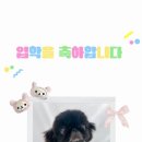 개린이세상 이미지