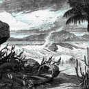 나포커피 이미지