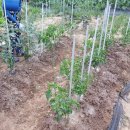 강정보여울 협동조합 이미지