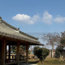 광주 광산구 송정역 10분 한옥 애견동반 카페 큰대문집