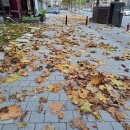 JRJA 전주로이재즈아트홀 | 251109 캔트비블루 스니펫 콘서트 후기 | CAN'T BE BLUE 1ST SNIPPET : DIM