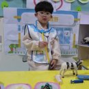 푸른하늘 동물병원 이미지