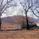 남산리
