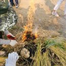 밀밭농장 이미지