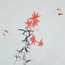 나리아트