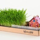 토비농장 이미지