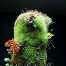 통영바다펜션 이미지