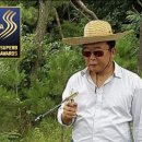 영남가축병원 네이버블로그