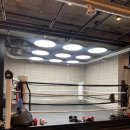 에이블 복싱GYM 이미지