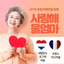 2019 유럽치매마을 국외연수 - 호그백/데이케어/치매마을/닥스/코스모스센터/뉴버드/노인홈