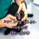송탄시장약국 이미지