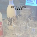 [울산 동구 술집] 일산지 '백종원의 막이 오름' 솔직 리뷰