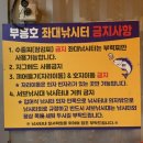 부흥호 가두리 낚시터 이미지