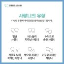 민플란트치과의원 이미지