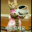 커피는사랑