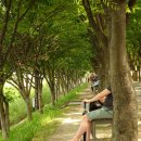 의암호나들길(봄내길 4코스) 이미지