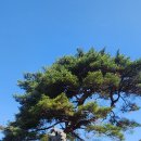 지리산리조트 이미지