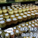 베이비포유 | 제주 아기 수제 이유식 마미포유 내돈내산 방문 후기