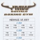 버팔로복싱짐 이미지