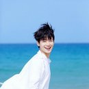 청초하다