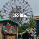 엑스존 | 경주월드 일요일 사람 얼마나 많을까? 우천시 놀이기구 운영 후기