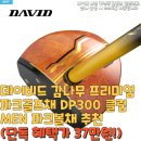 채감 | 데이비드 감나무 프리미엄 파크골프채 DP300 클럽 MEN 파크볼채 추천(단독 혜택가 37만원!)