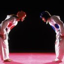 킴스태권도 이미지