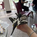 우주캠프 | 한국항공우주소년단 : 보라매항공우주진로캠프