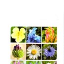 중성동113 이미지